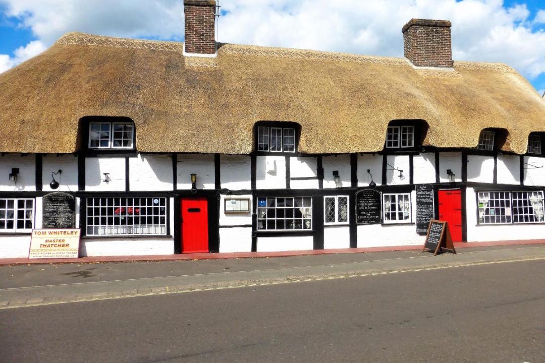 Photo of Others in New Forest District