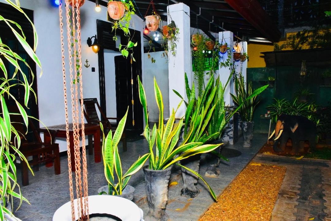 Photo of Others in Yodakandiya