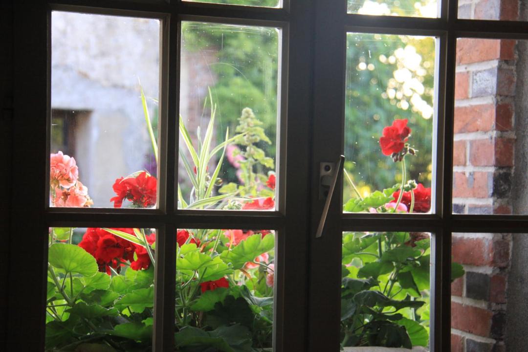 Photo of Others in Saint-Firmin-sur-Loire