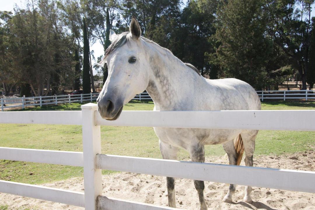 Photo of Others in Santa Barbara