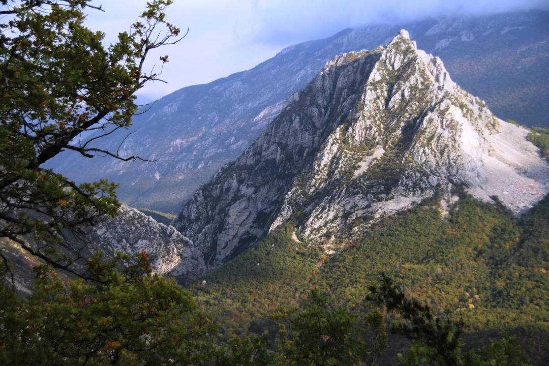 Photo of Others in Castellane