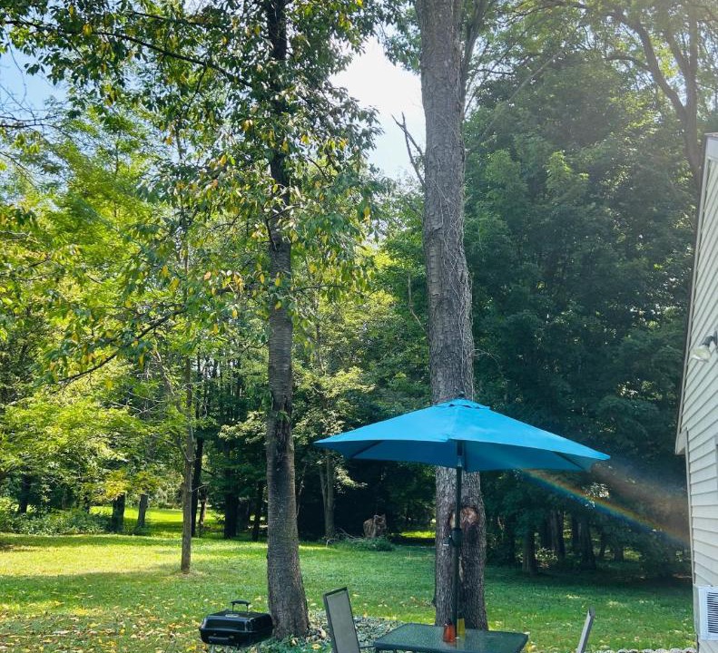 Photo of Outdoor in Fenton