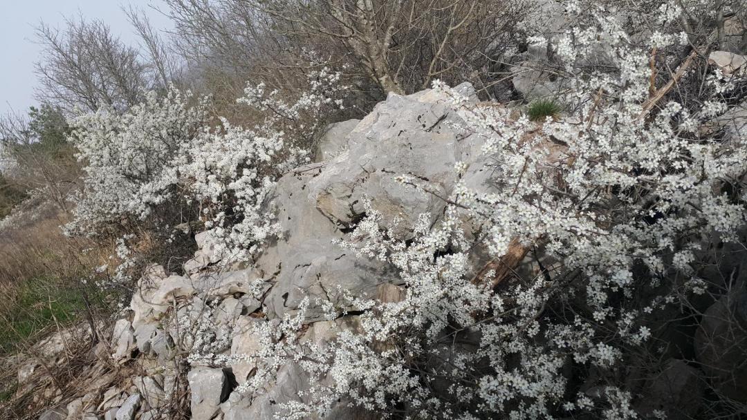 Photo of Outdoor in Matavun