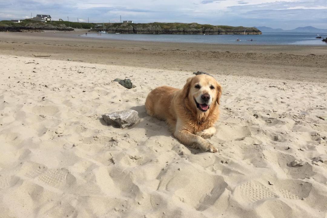 Photo of Others in Rhoscolyn