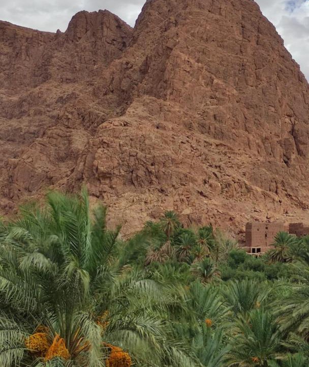 Photo of Others in Toudgha El Oulia