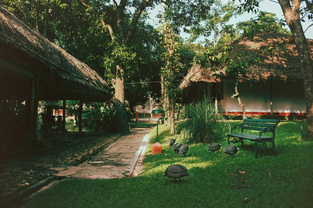 Photo of Others in Kumily