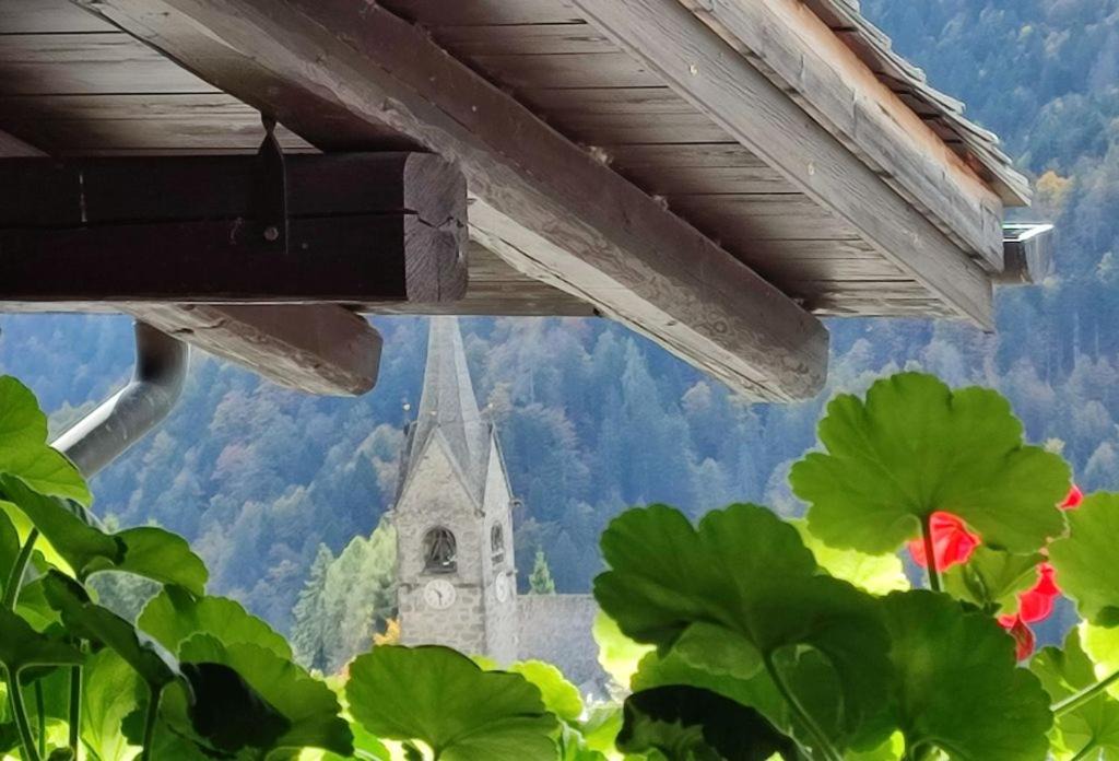 Photo of Others in Sauris di Sopra