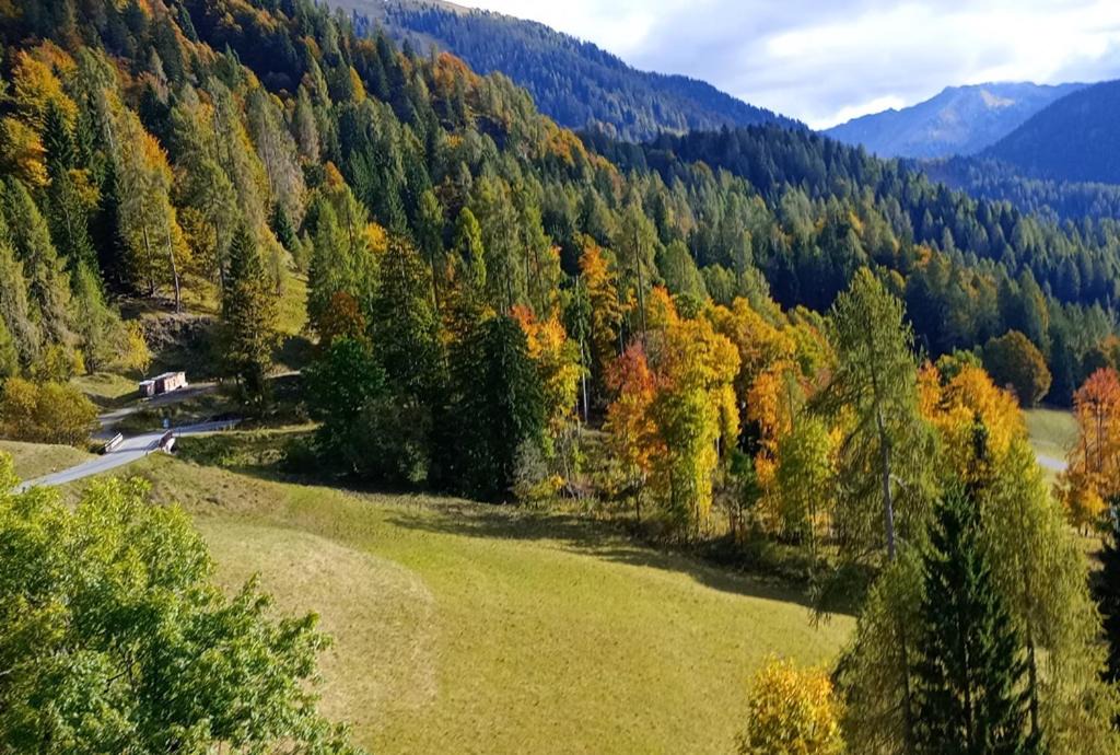 Photo of Others in Sauris di Sopra