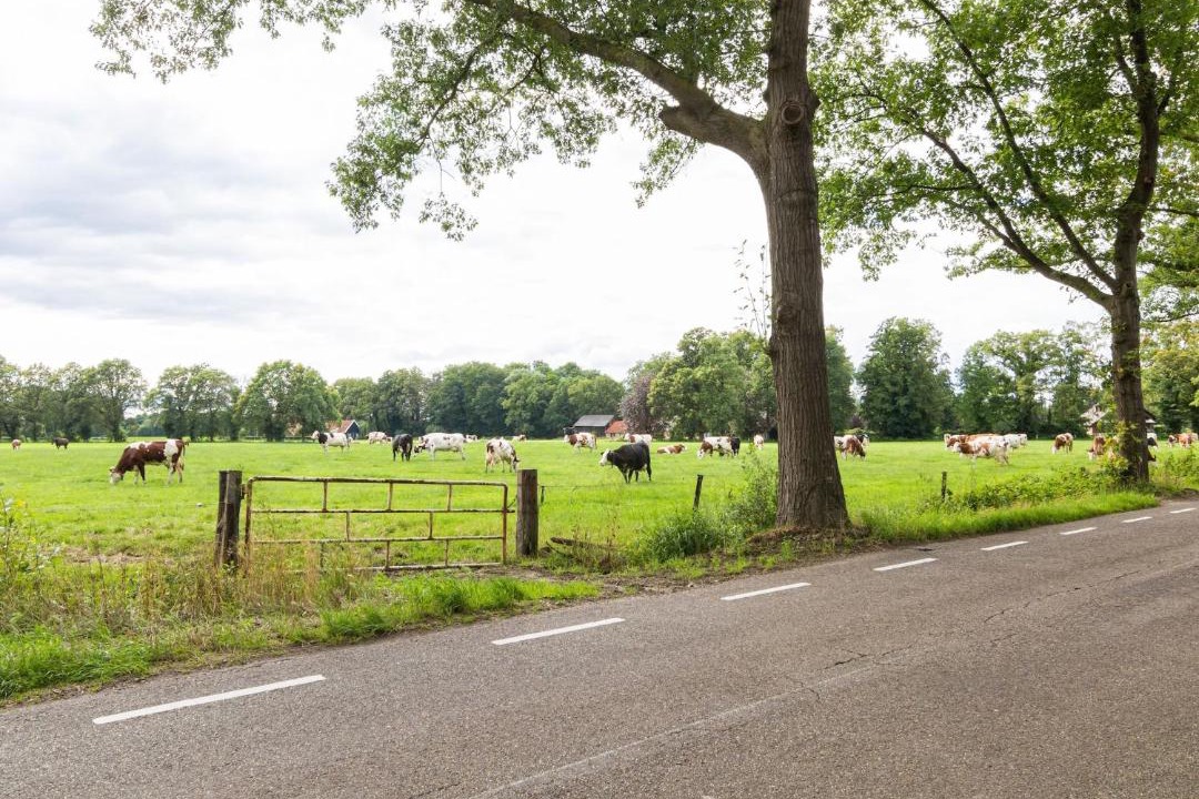 Photo of Others in Municipality of Enschede