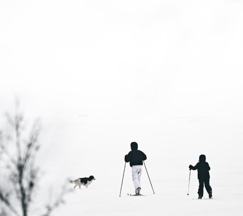 Photo of Human In Picture in Ii