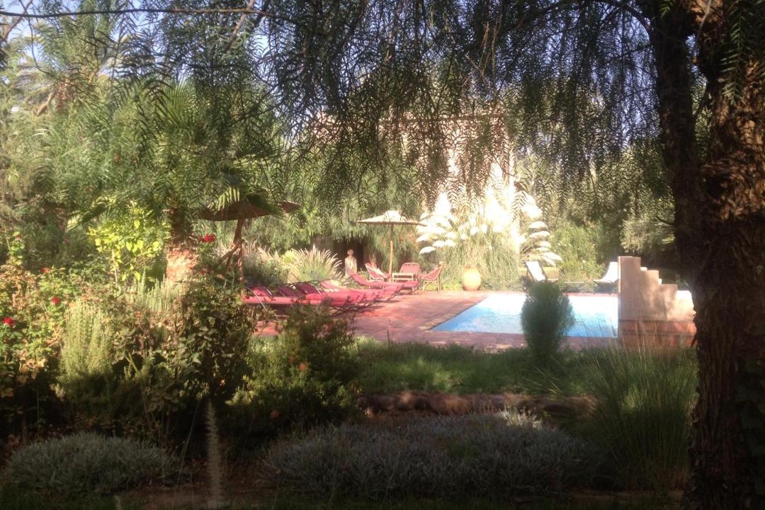 Photo of Others in Skoura