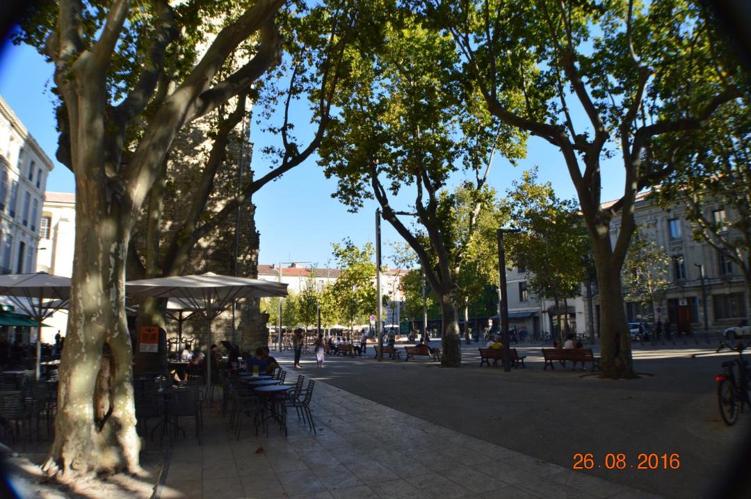 Photo of Others in Avignon City Centre