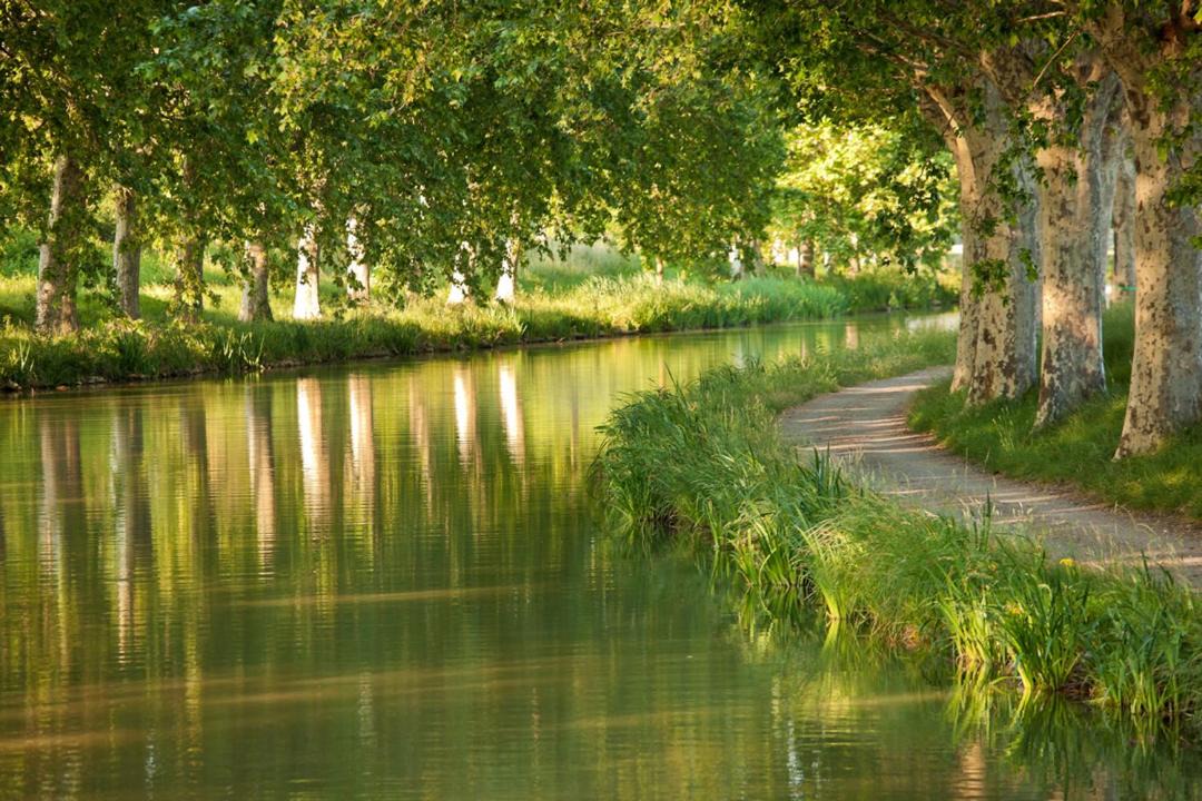 Photo of Outdoor in Lezignan-Corbieres