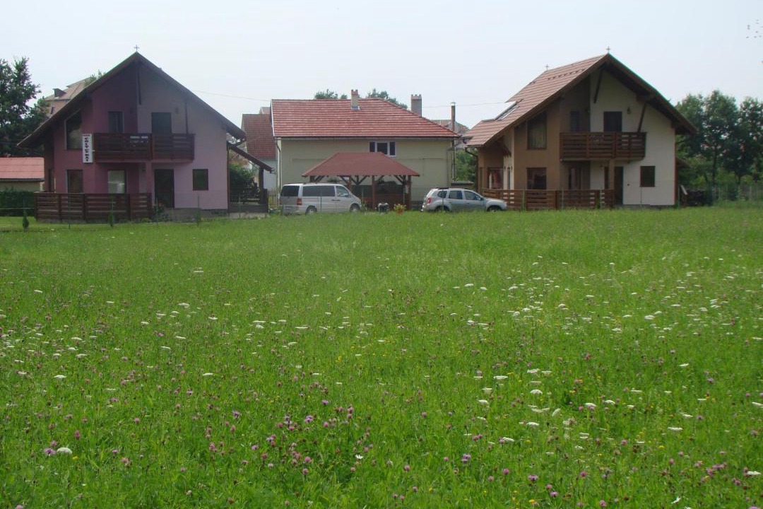 Photo of Others in Covasna
