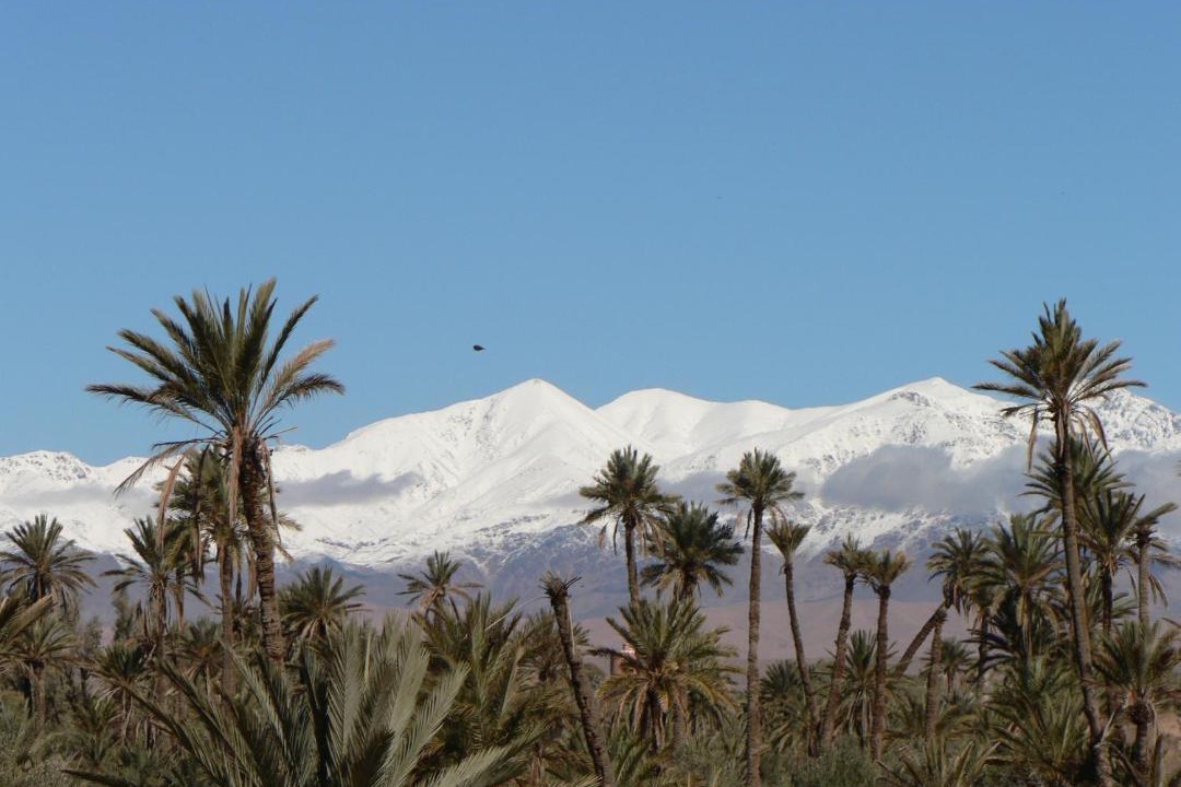 Photo of Others in Skoura