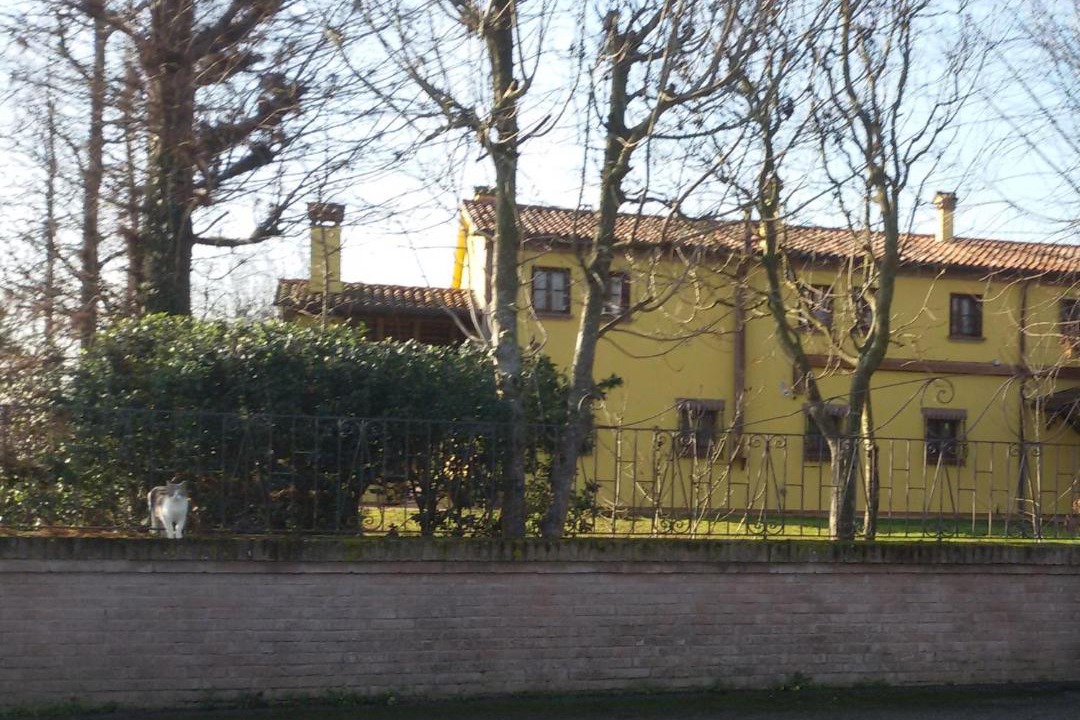 Photo of Buildings in Rubano