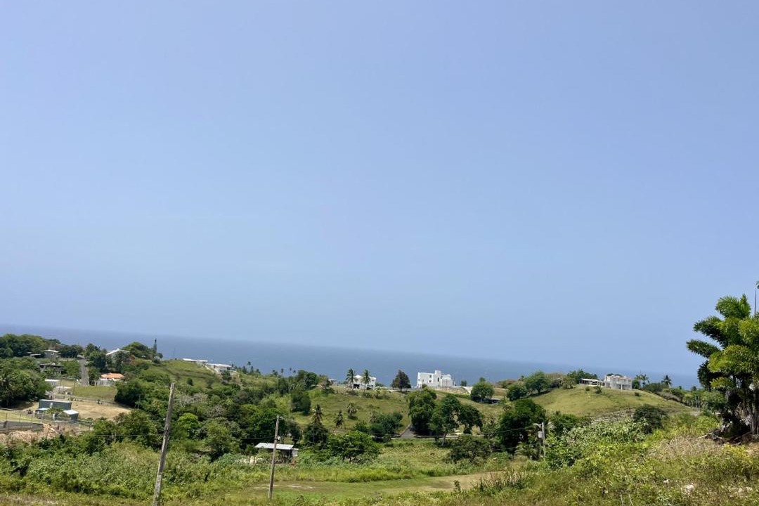 Photo of Others in Quebradillas