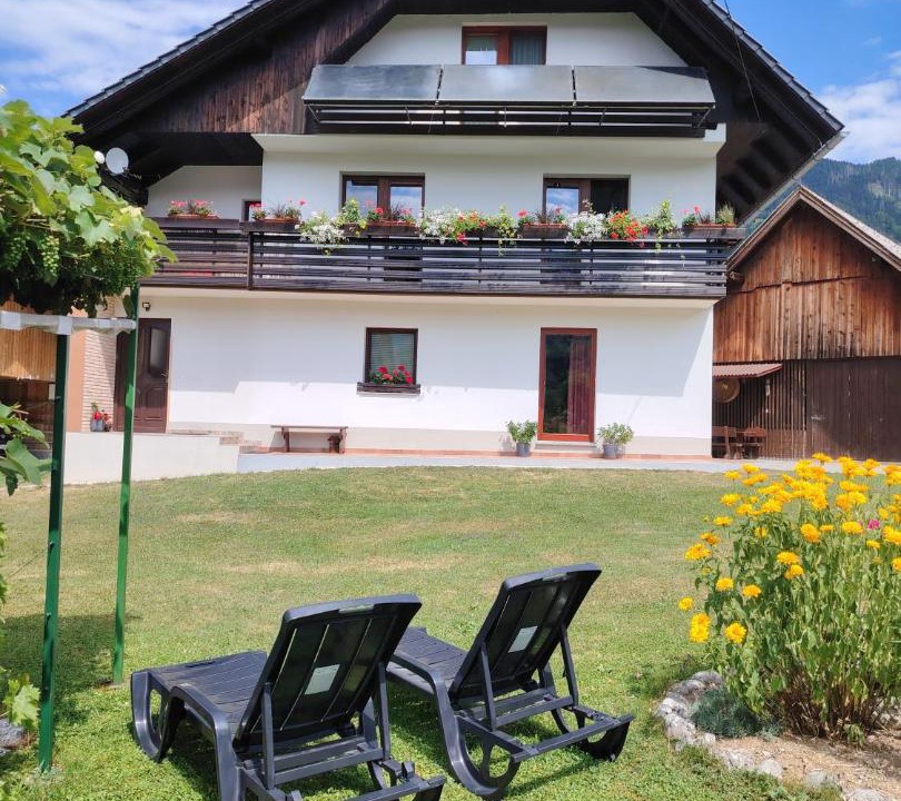 Photo of Others in Bohinj