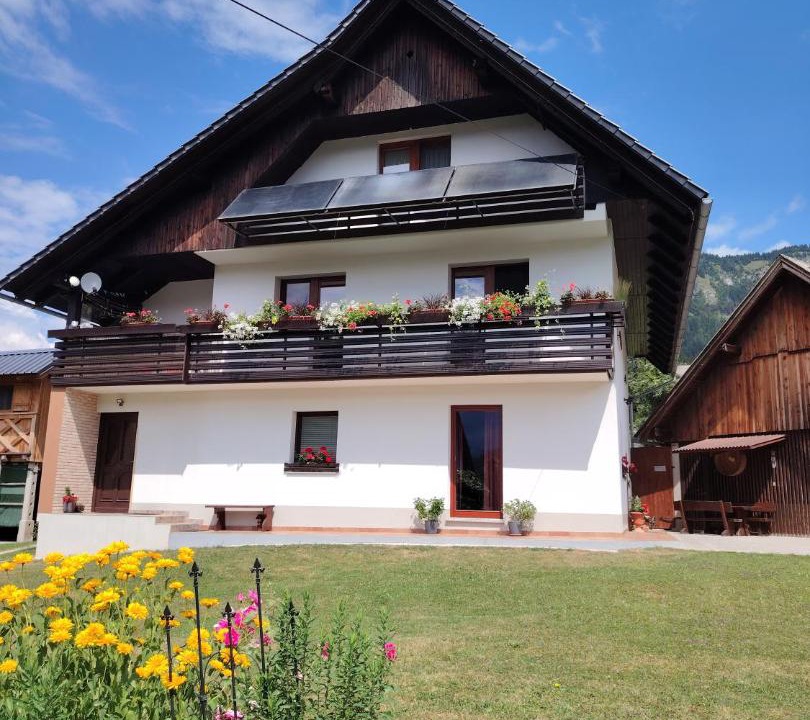 Photo of Others in Bohinj