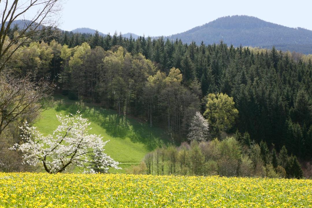 Photo of Others in Oberwolfach