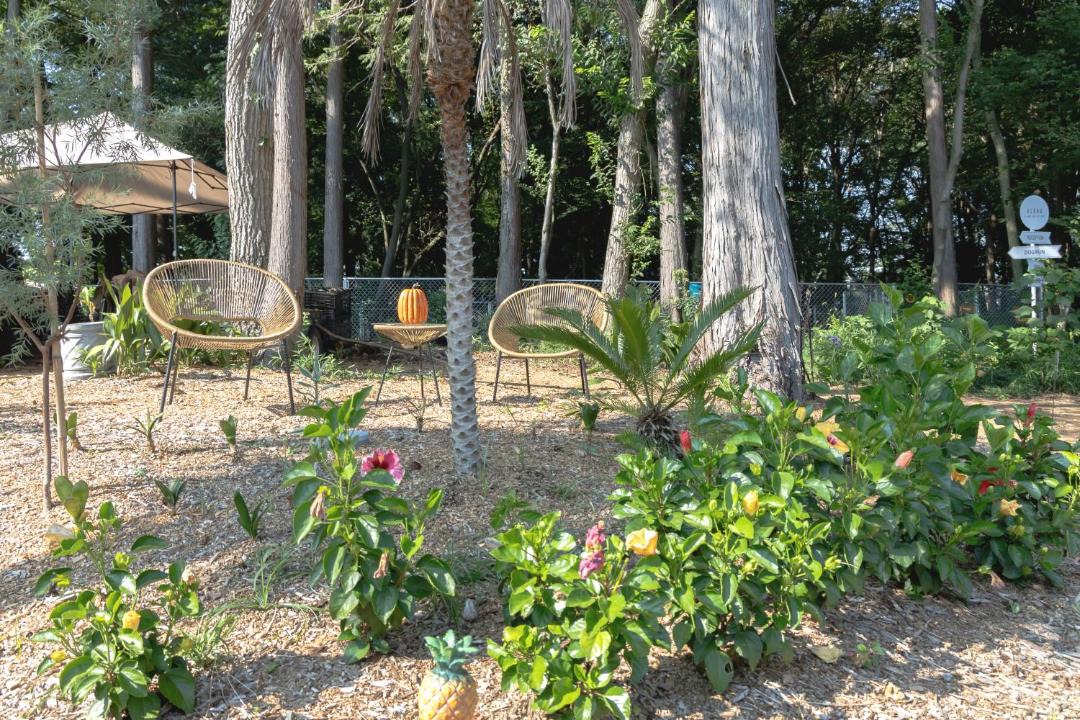 Photo of Outdoor in Sakai