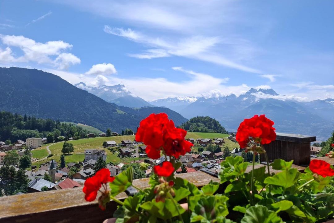 Photo of Others in Leysin