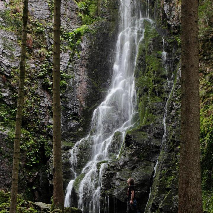 Photo of Others in Oberwolfach