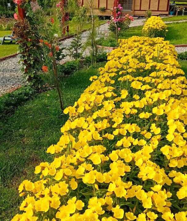 Photo of Outdoor in Corbeni
