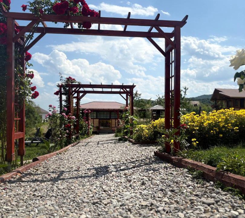 Photo of Outdoor in Corbeni