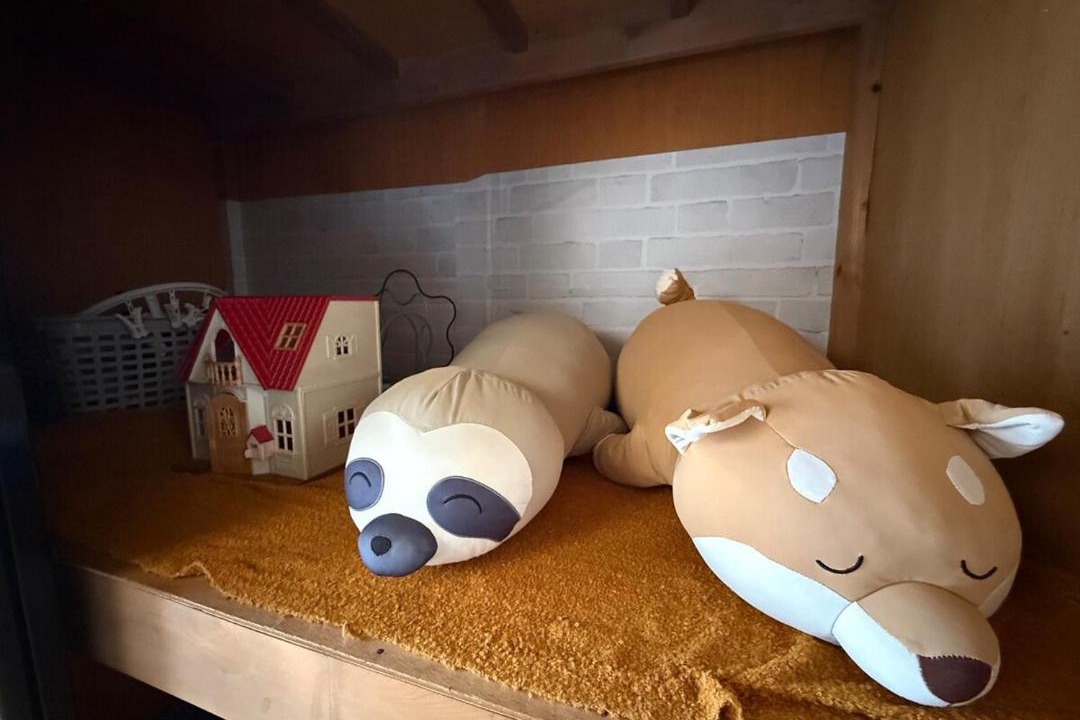 Photo of Others in Ryugasaki