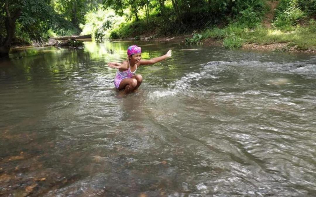 Photo of Others in Sulthan Bathery