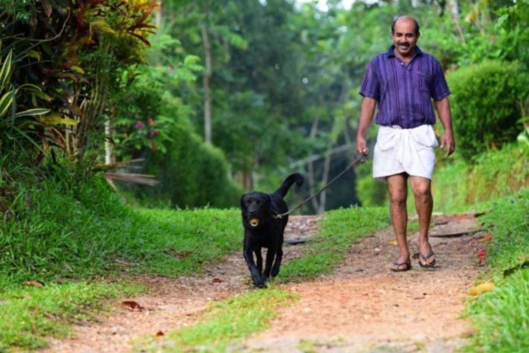 Photo of Human In Picture in Sulthan Bathery