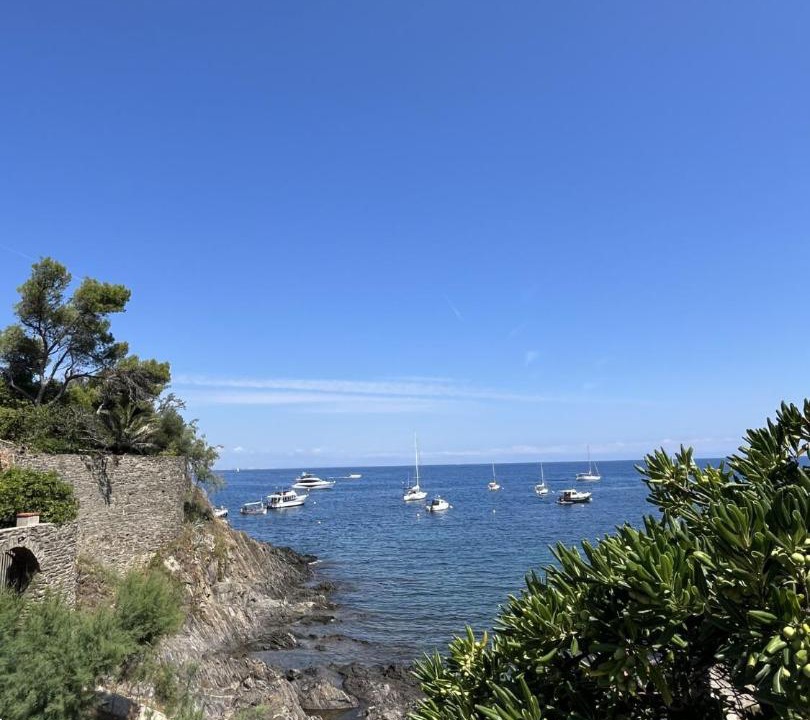 Photo of Others in Collioure