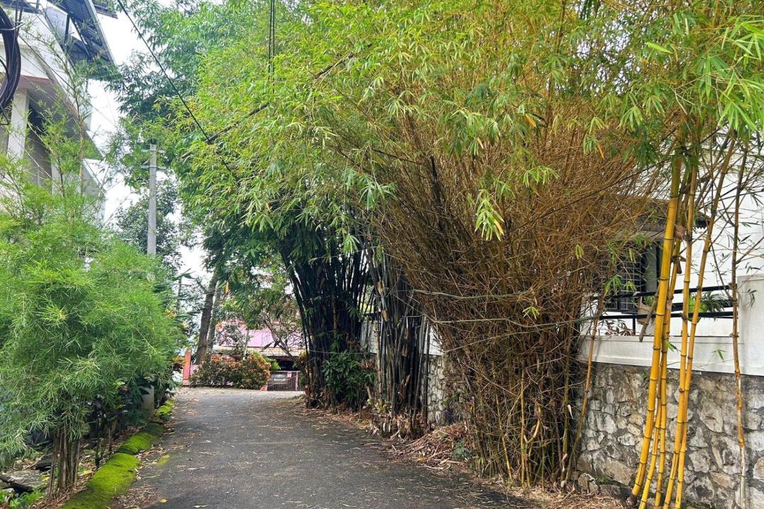 Photo of Others in University of Kerala Senate House Campus