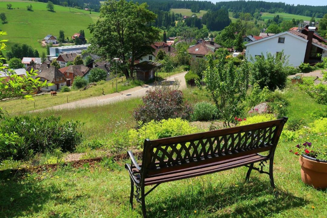 Photo of Others in Schonach im Schwarzwald
