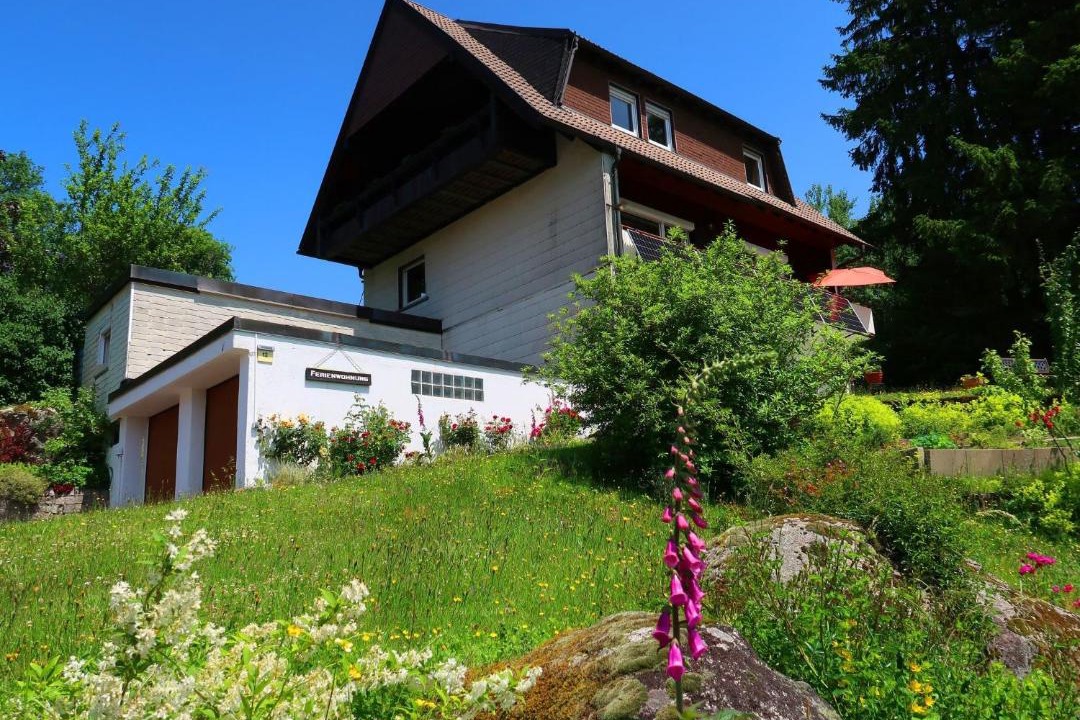 Photo of Others in Schonach im Schwarzwald