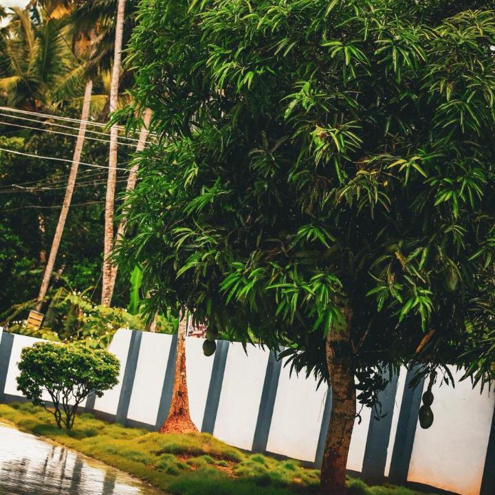 Photo of Others in Poovar