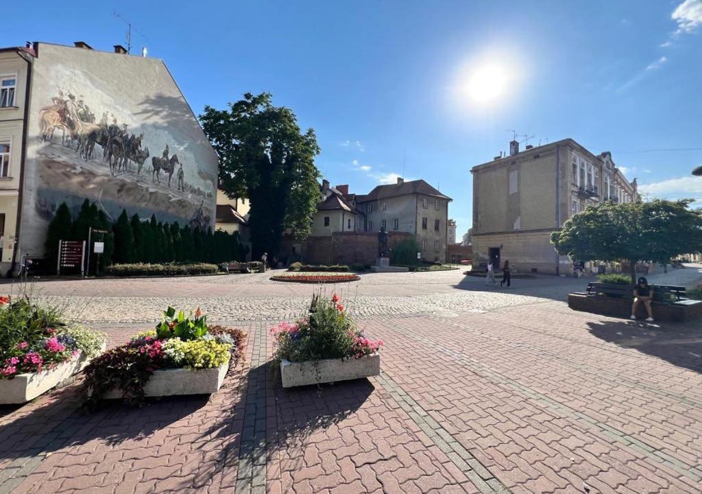 Photo of Others in Tarnow