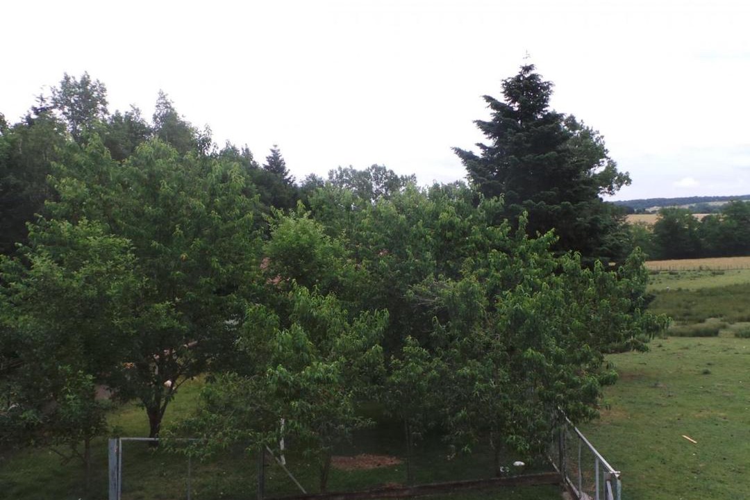 Photo of Others in Creuzier-le-Neuf