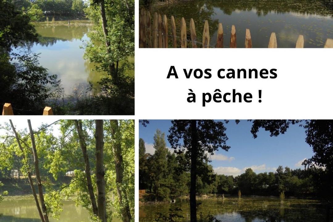Photo of Others in Trogues