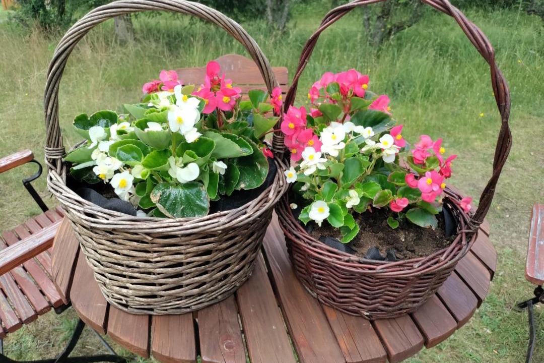 Photo of Others in Podjazy