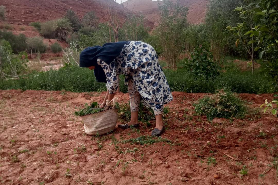 Photo of Others in Tamedakhte