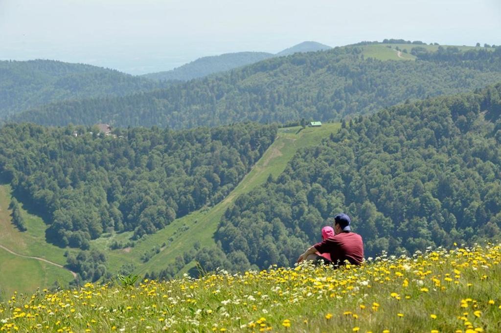 Photo of Others in Montbeliard