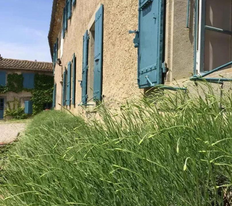 Photo of Others in Laure-Minervois