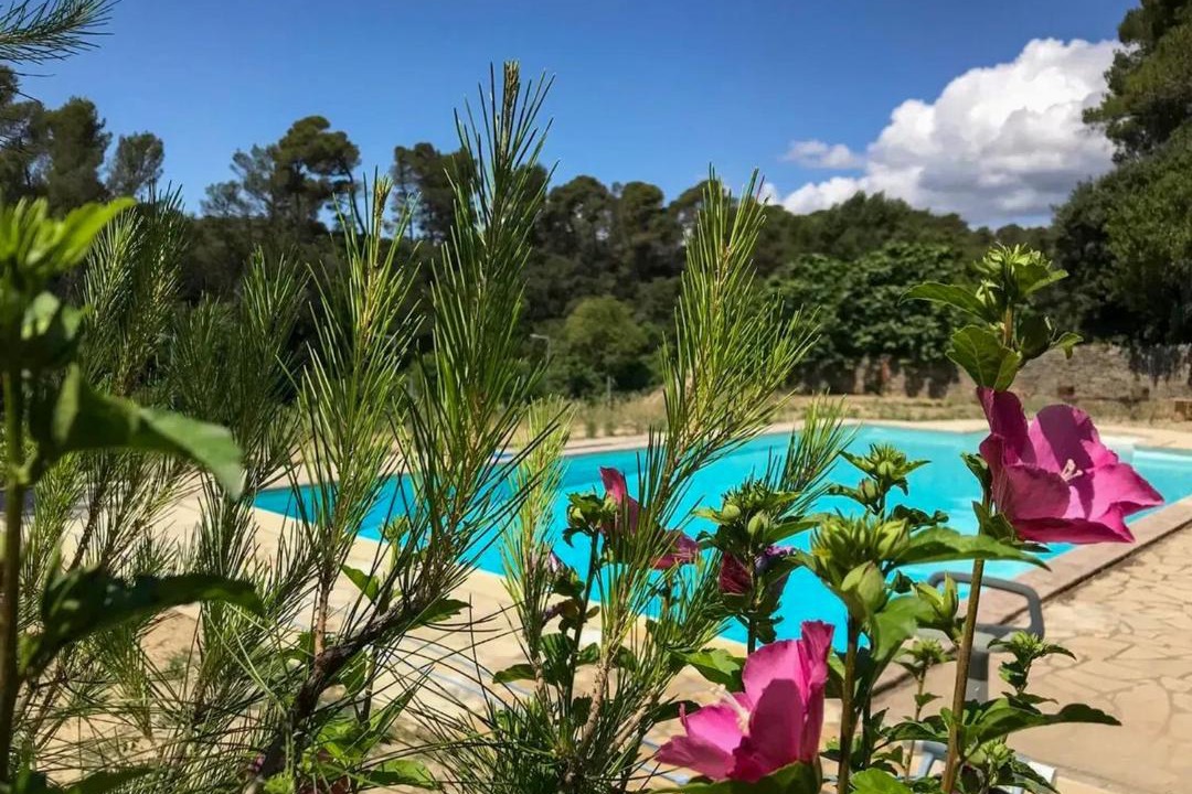 Photo of Outdoor in Laure-Minervois
