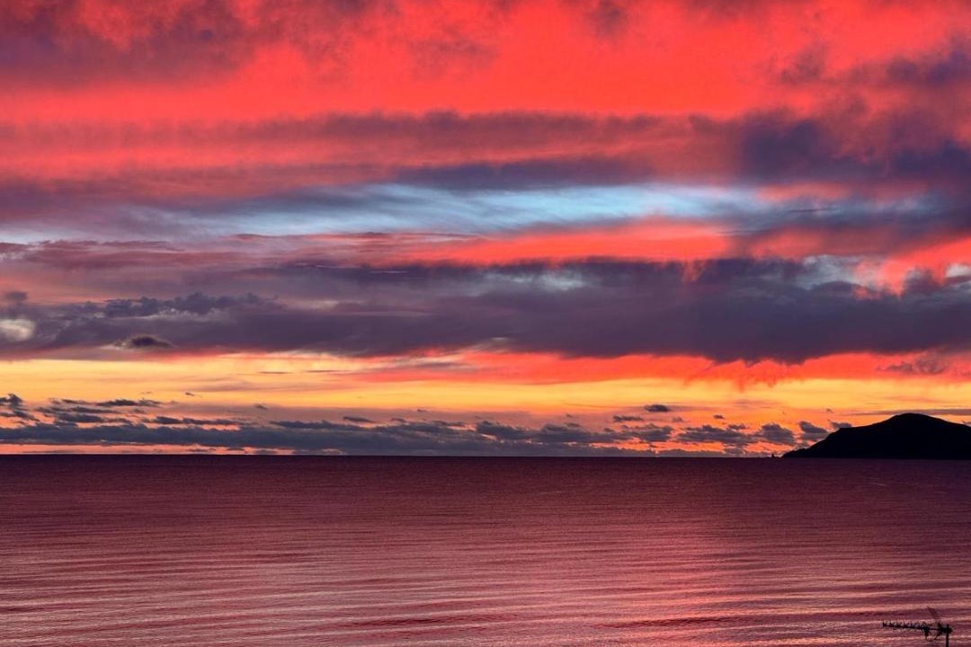 Photo of Others in Raumati South