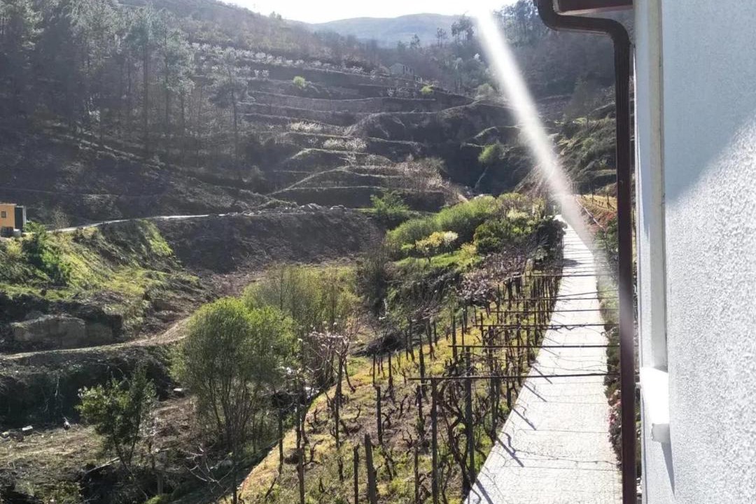 Photo of Others in Lamego