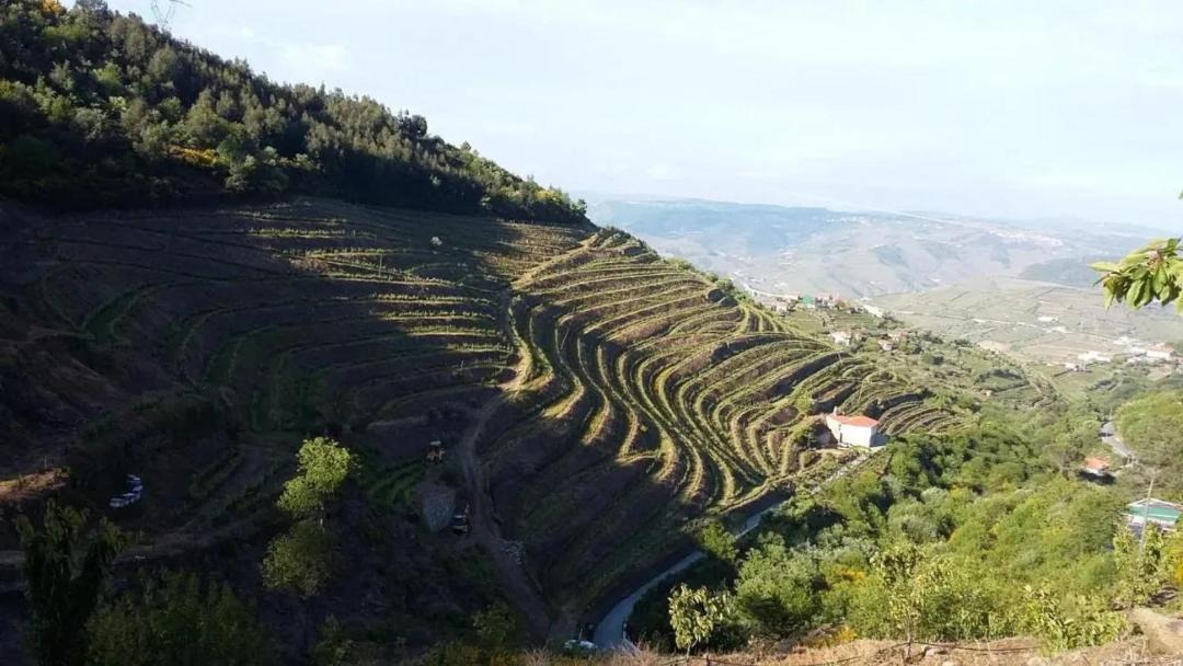 Photo of Others in Lamego