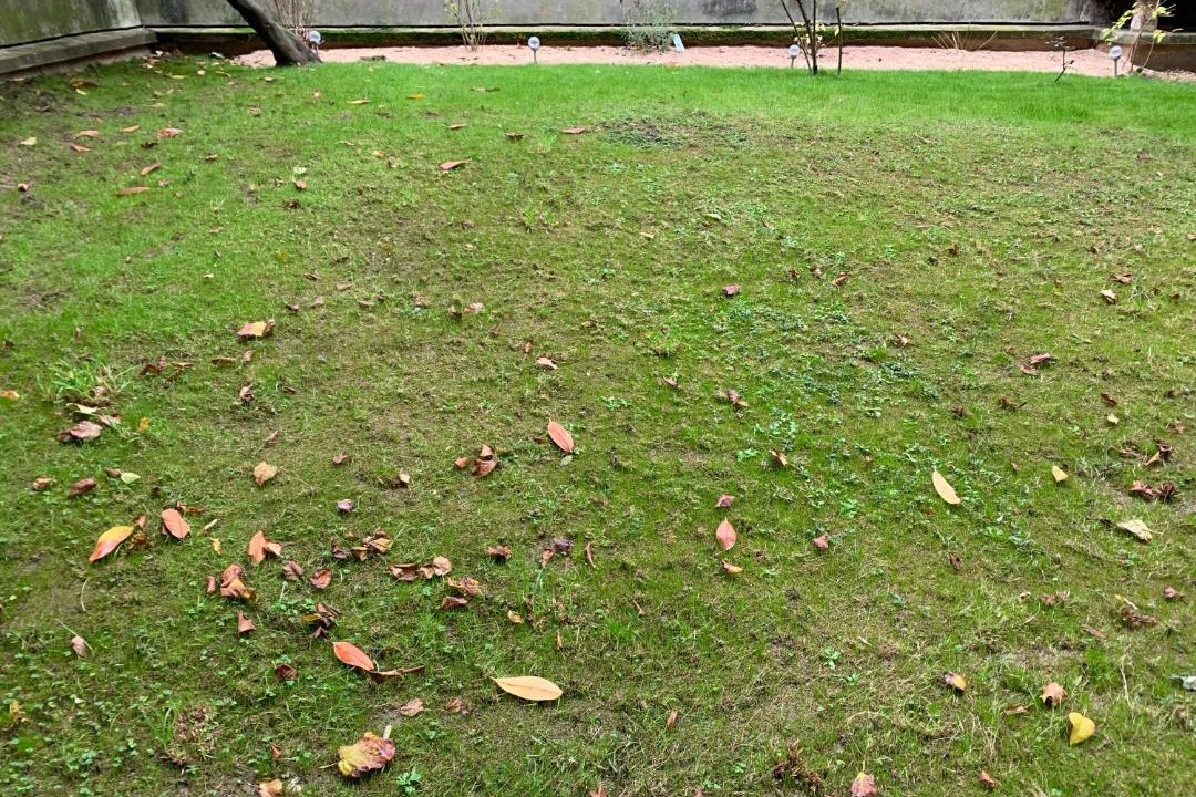 Photo of Outdoor in Auteuil