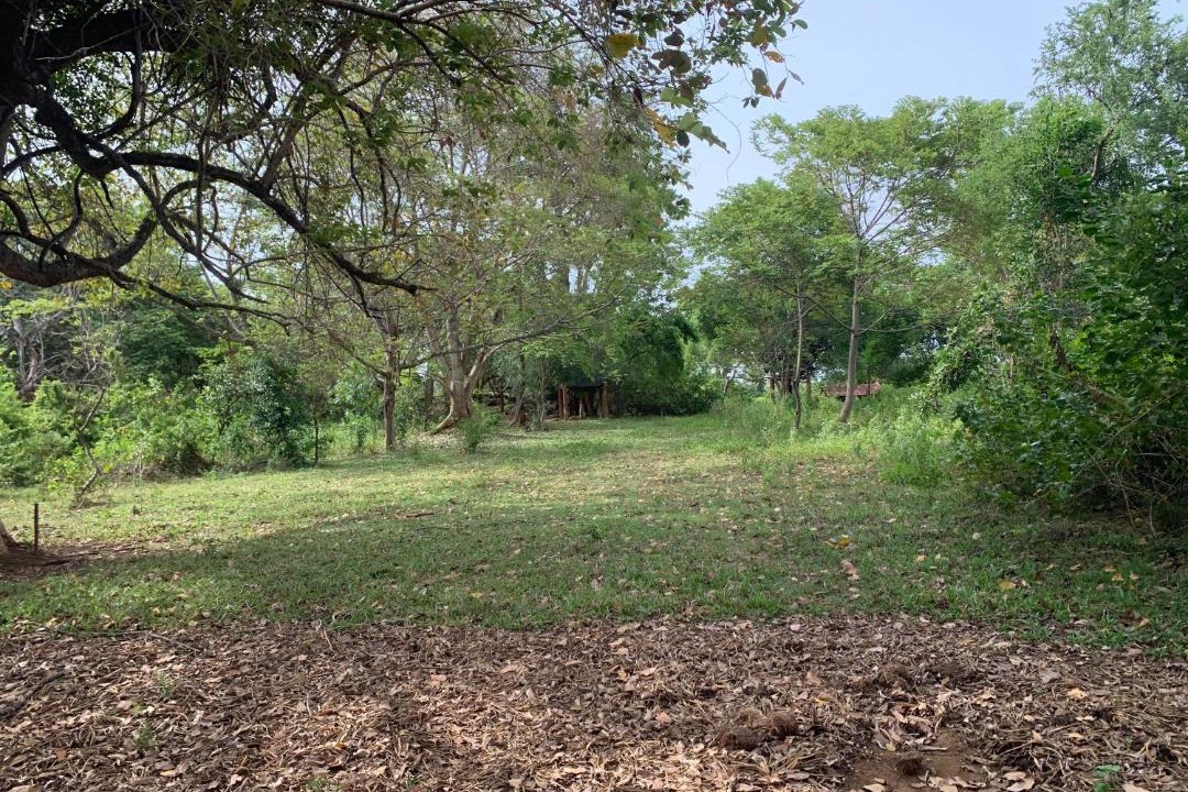 Photo of Outdoor in Mahiyanganaya